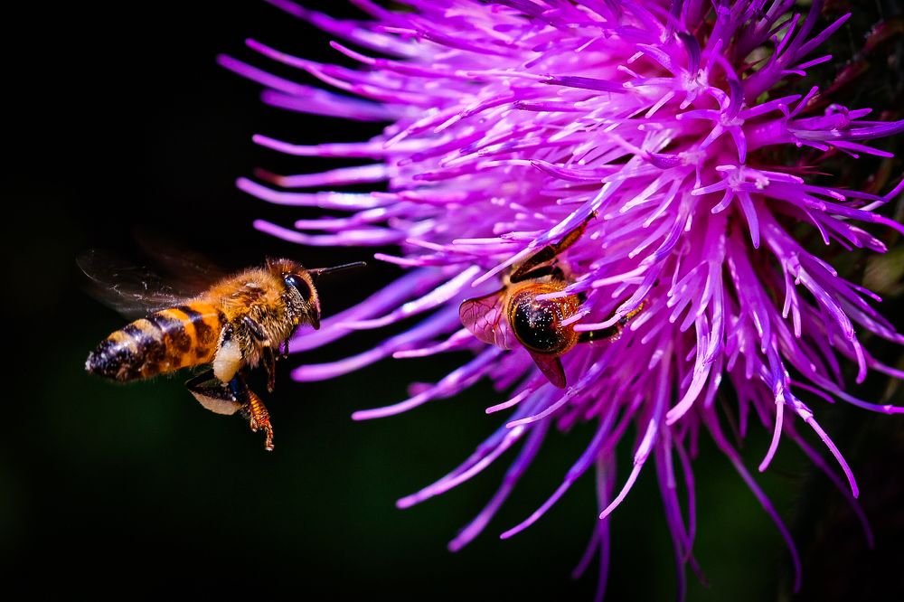 Photograph by Serdar AVCI