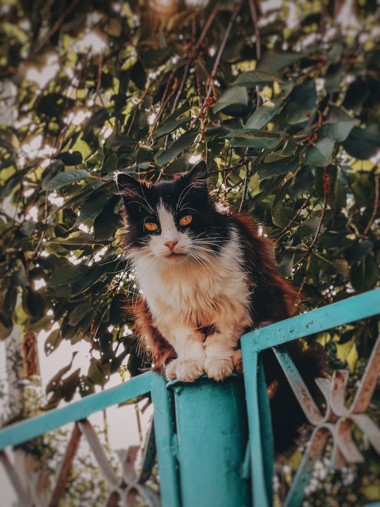 Photograph by Анастасия Белогурова