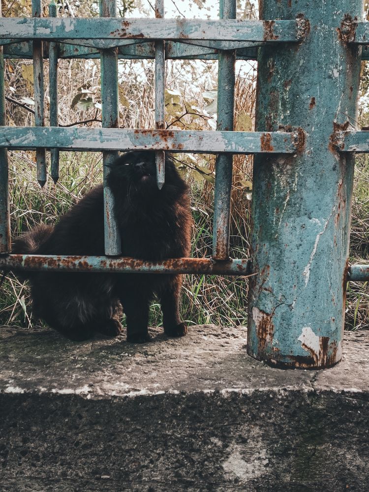 Photograph by Анастасия Белогурова