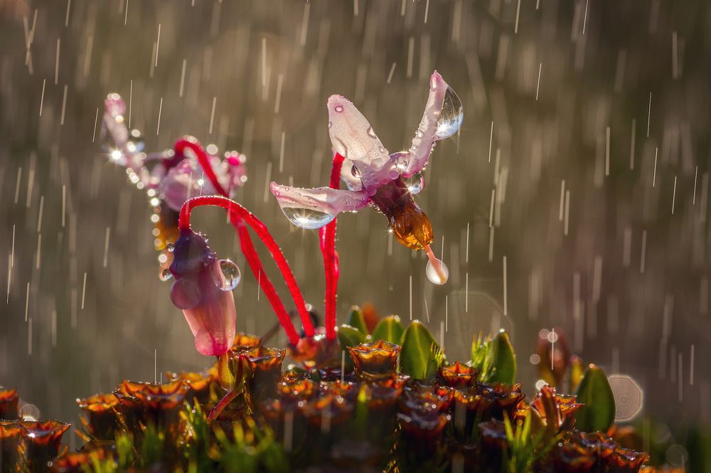 Photograph by Марина Мурашова