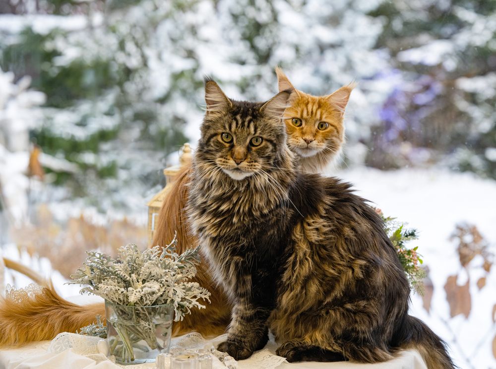 Photograph by NADEZHDA PELYMSKAIA