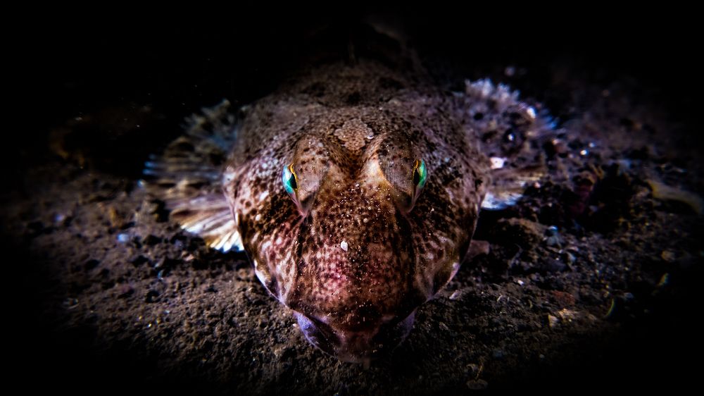 Photograph by Serdar AVCI