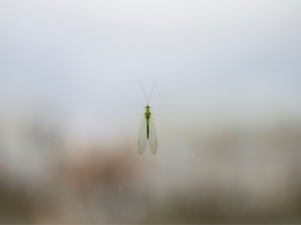 Photograph by Юлия Петровская