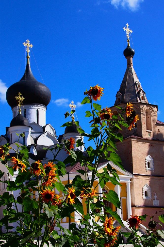 Photograph by ОЛЬГА ДЕРБЕНЕВА