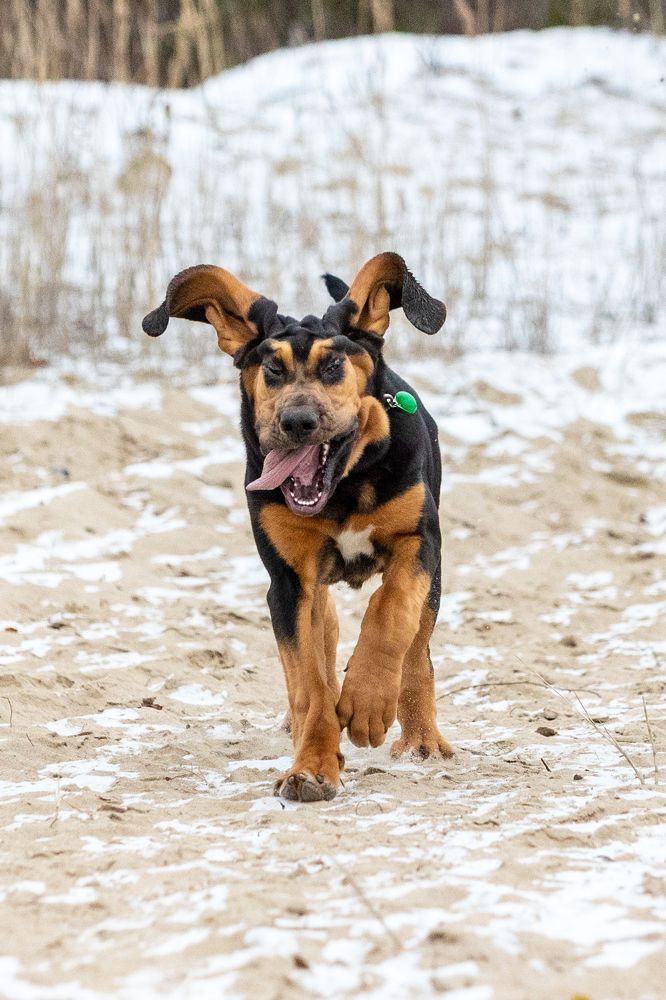 Фотография автора Евгения Глинская