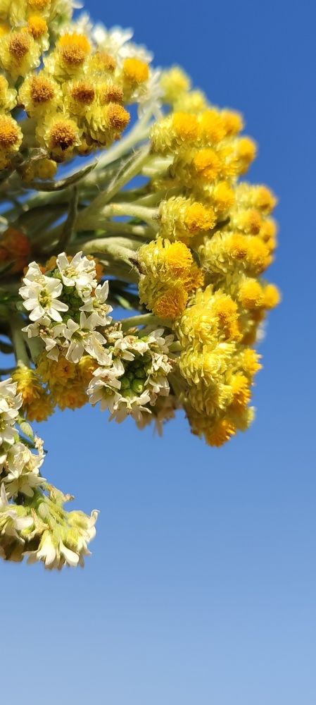 Photograph by Валентина