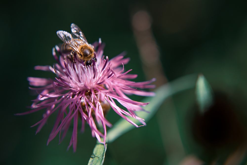 Фотография автора Войнов Дмитрий