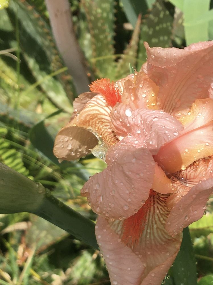 Photograph by maria gabriela alegria