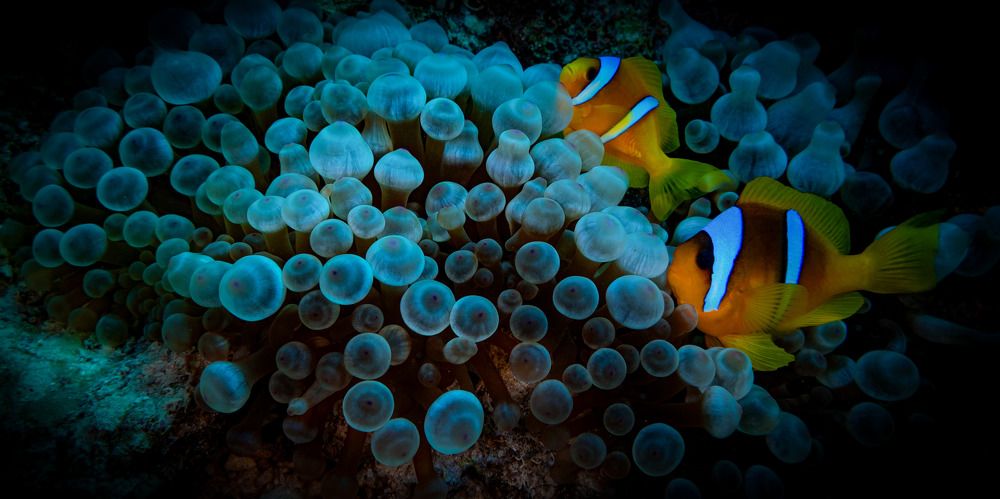 Photograph by Serdar AVCI