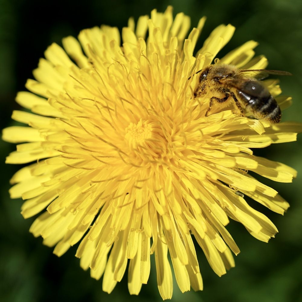 Фотография автора Liudmila Kiermeier