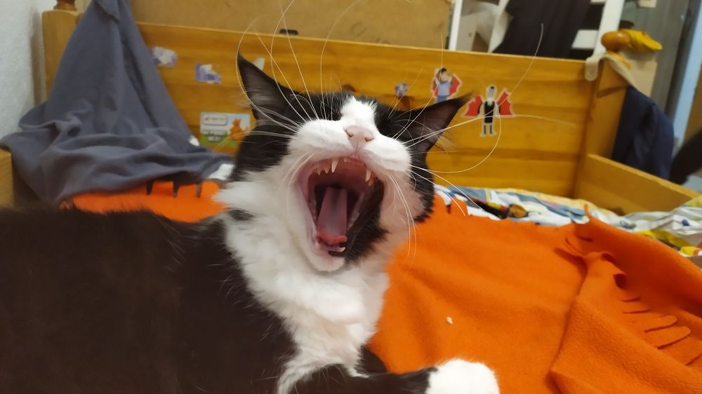 Photograph by Елена Смирнова