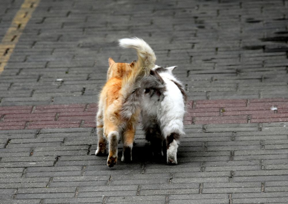 Photograph by Татьяна Калугина