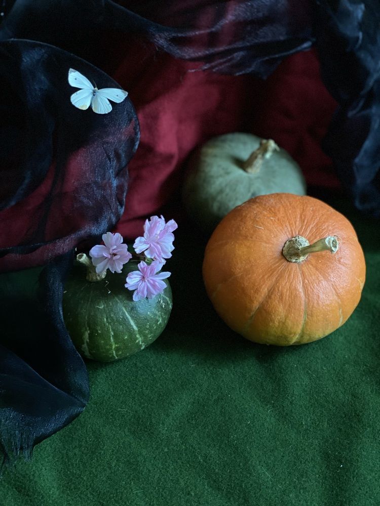 Photograph by Ольга Щербакова