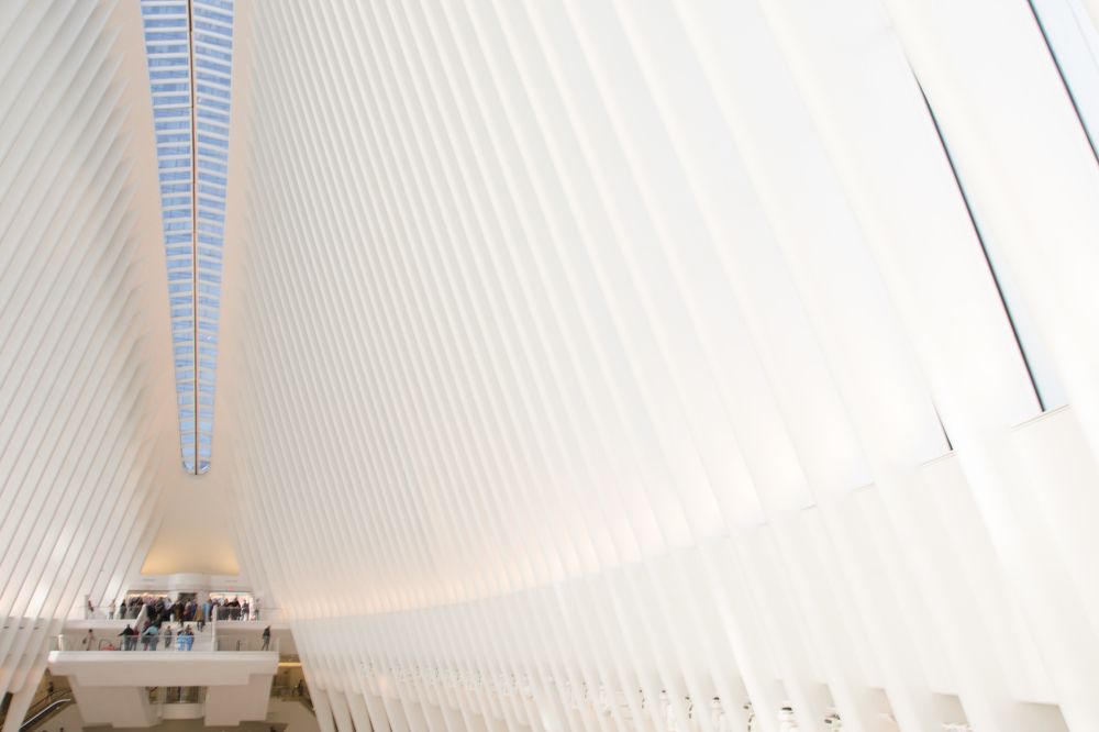 Фотография автора Elshafei Salih