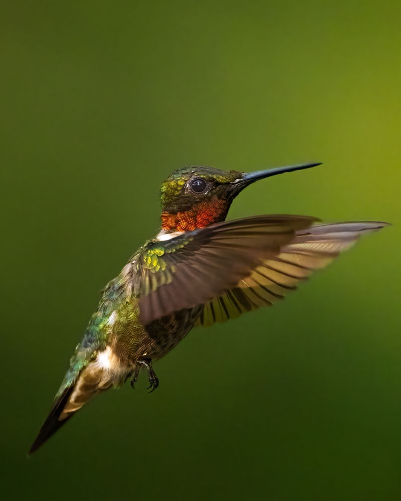 Photograph by Dave Miller