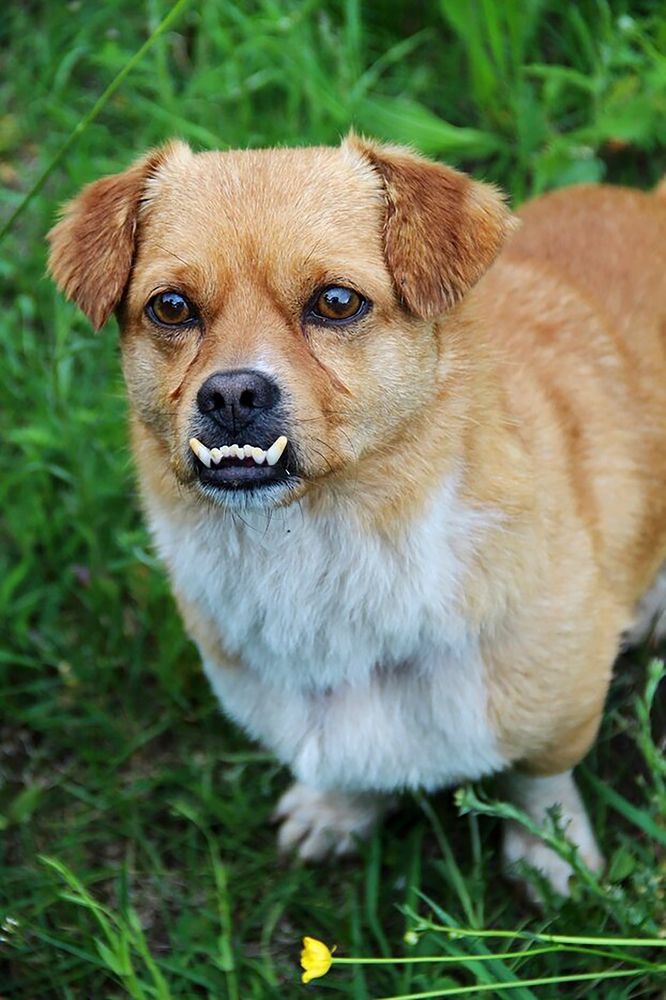 Красотулечка