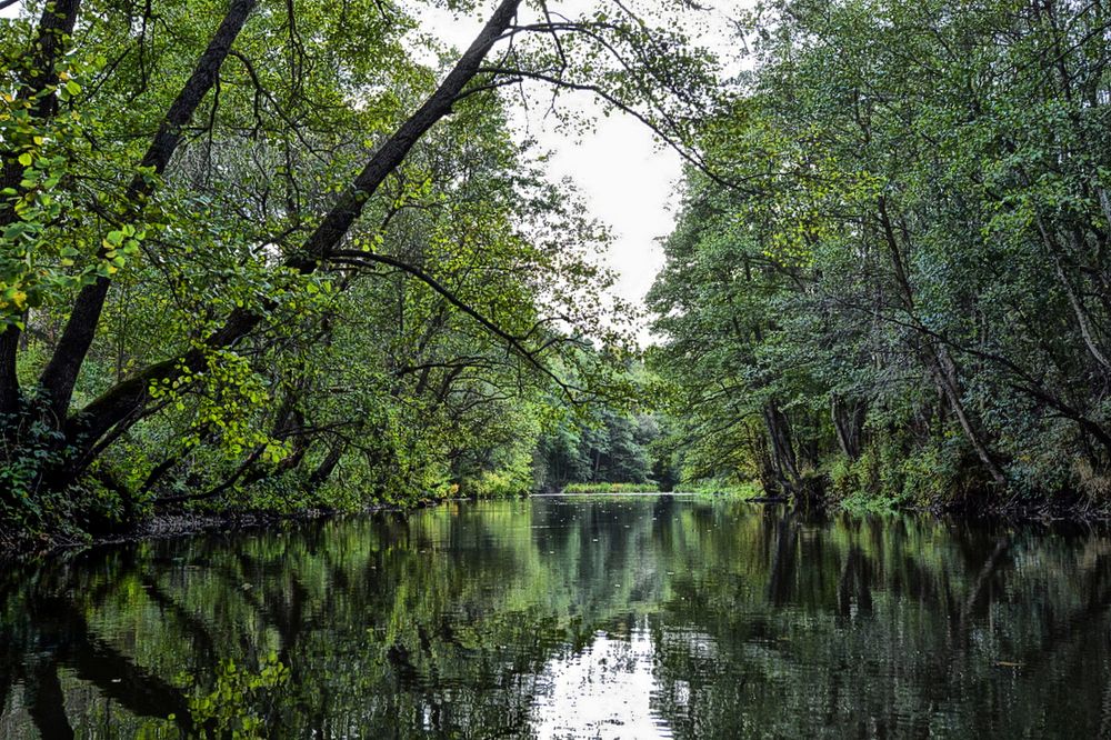 Фотография автора Виктор Журбенков
