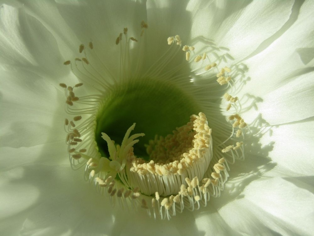 Внутренний мир