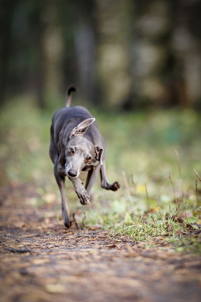 Photograph by Шитиков Владимир