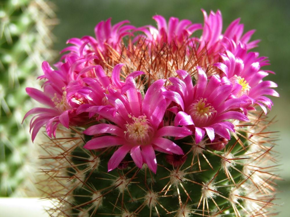 Photograph by Владимир Перминов