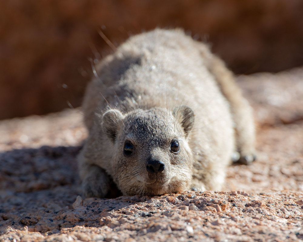 Photograph by Бушков Евгений
