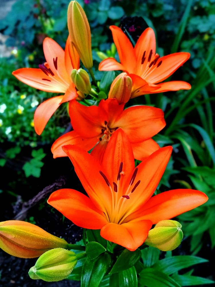 Photograph by Наталья