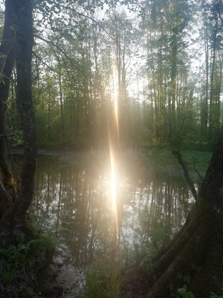 Photograph by Георгий Салюков