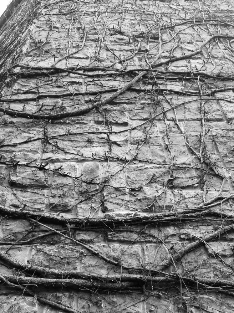 Photograph by Андрей Безгин