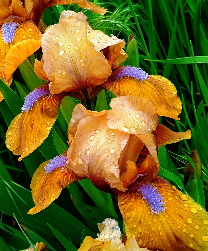 Photograph by Наталья