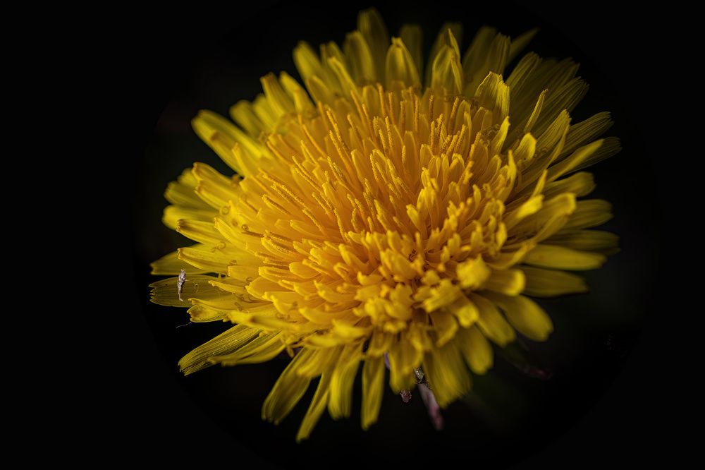 Photograph by Radovan Dziak