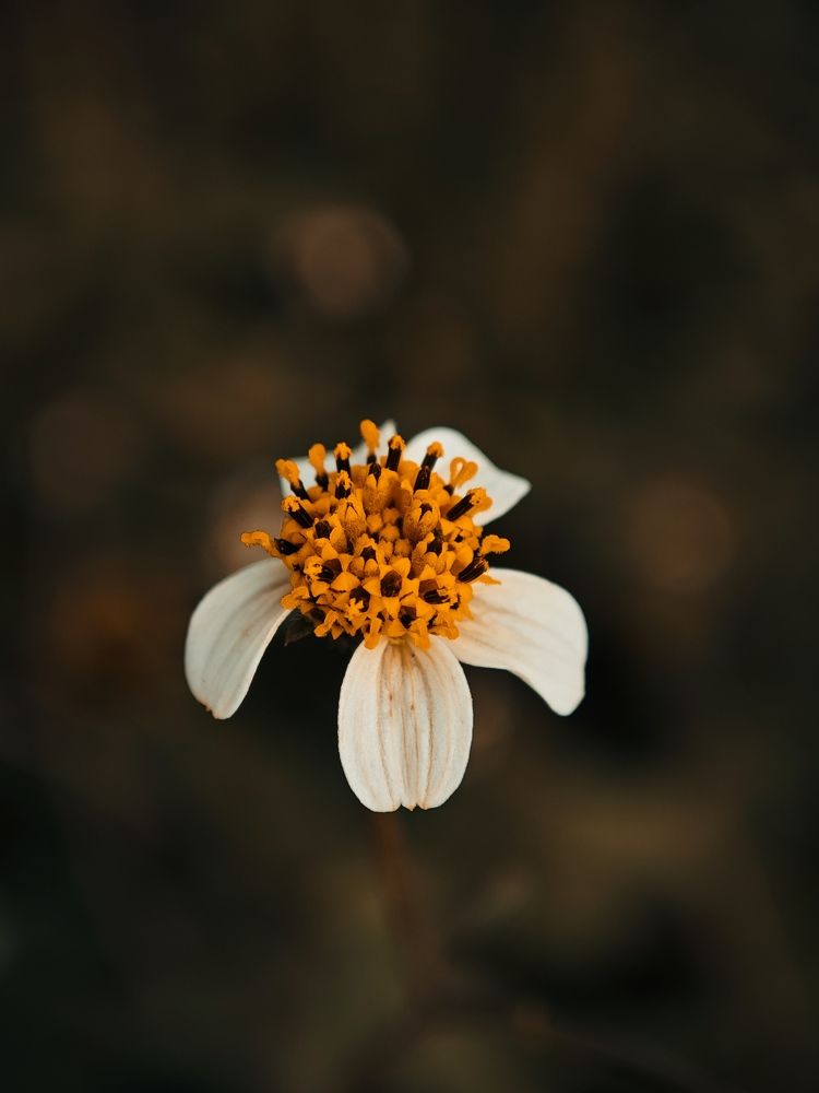 Photograph by Deependra Singh Rajput