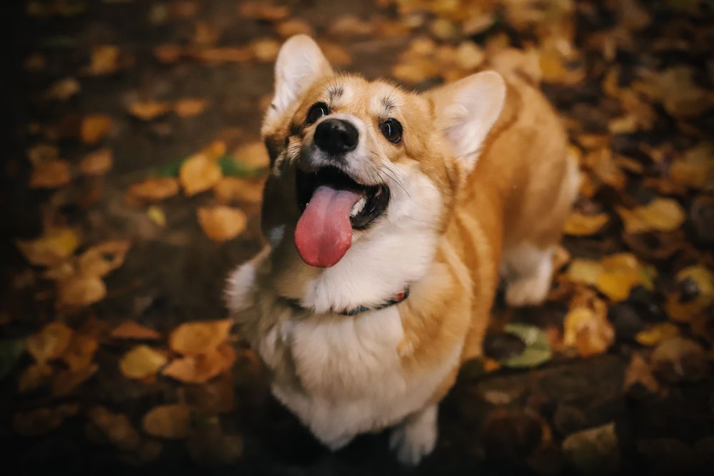 Photograph by Альвина Кузнецова