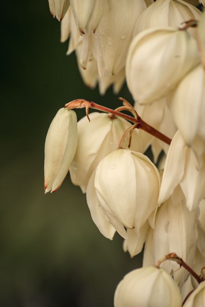 Photograph by Мария Путинцева