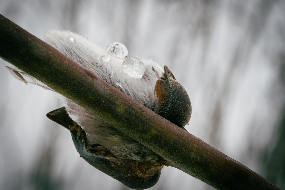 Фотография автора Vitaly Voloshin