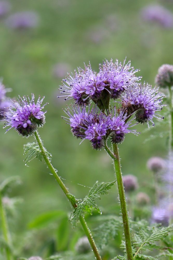 Photograph by Lyudmila Klimanova