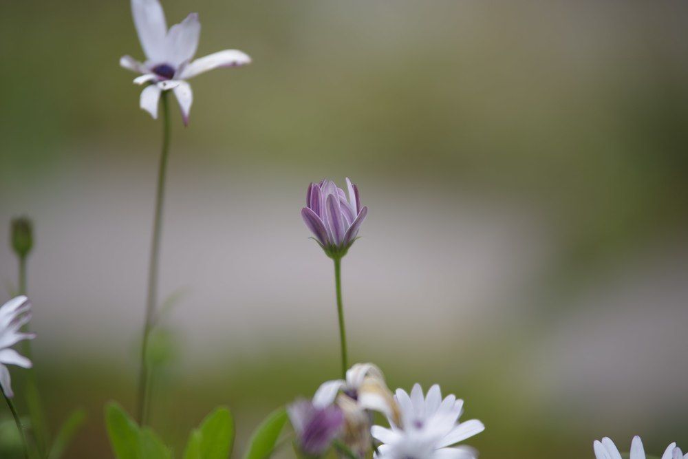 Photograph by Олег Китаев