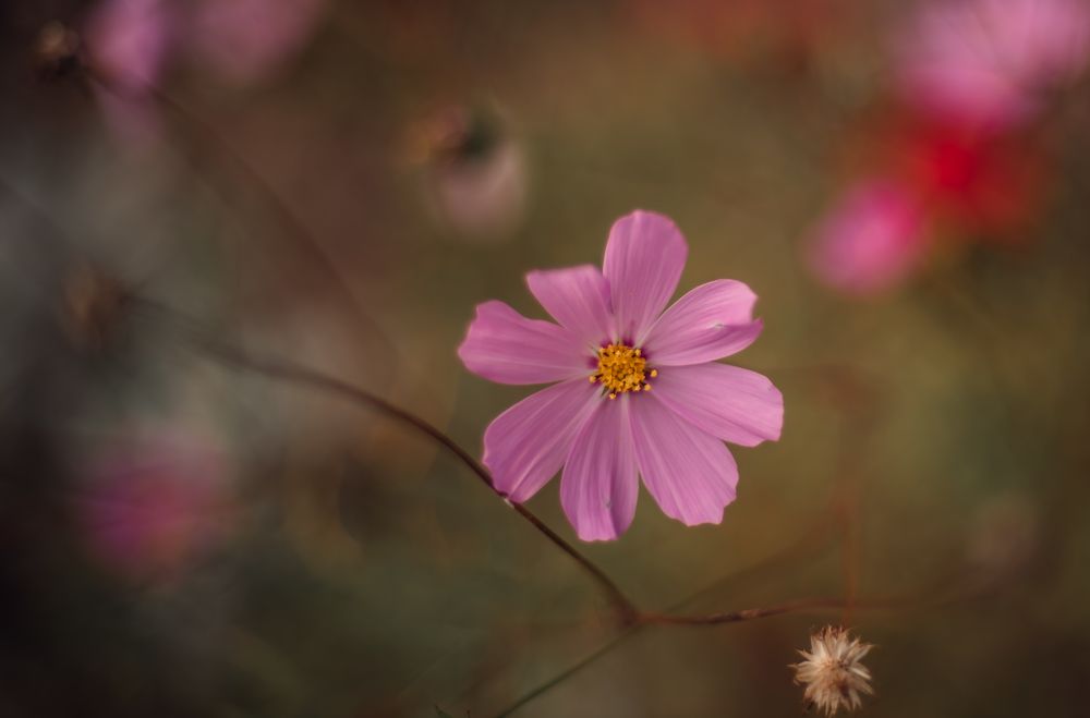 Photograph by Мария Путинцева