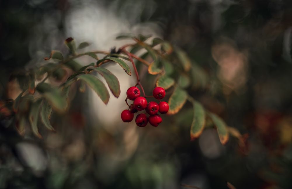 Photograph by Мария Путинцева