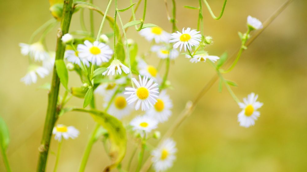 Photograph by Юля Хатыпова