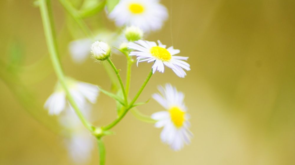 Photograph by Юля Хатыпова