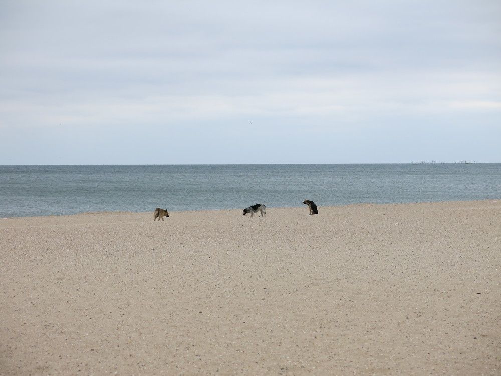 Photograph by ЭЛЬМИРА  ИСМАИЛОВА