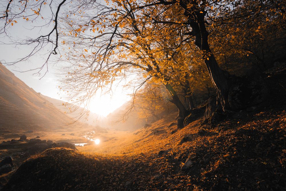 Photograph by Oleg Suhenko