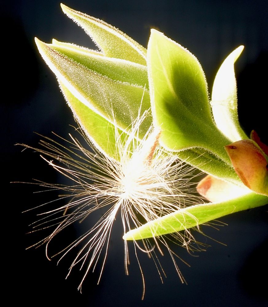 Photograph by Юлия