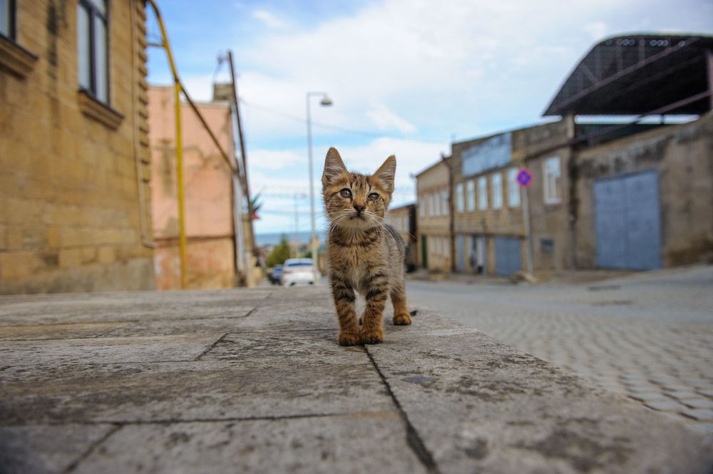 Photograph by Боков Павел