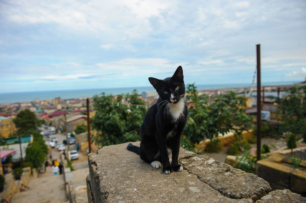 Photograph by Боков Павел