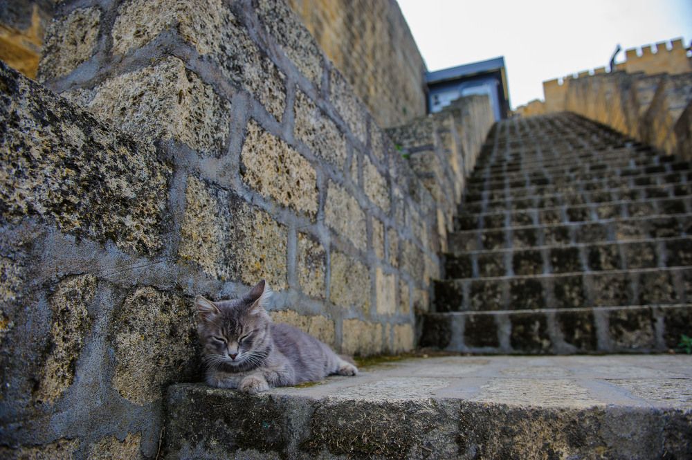 Photograph by Боков Павел