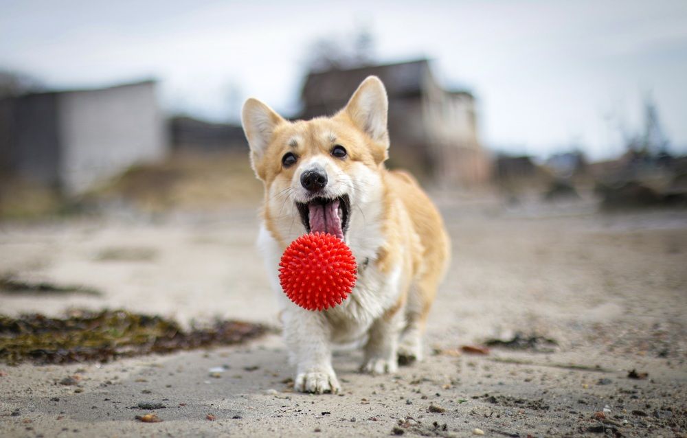 Photograph by Альвина Кузнецова