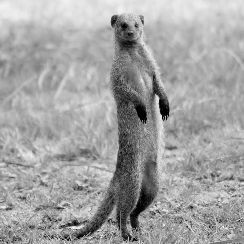 Фотография автора Maria de Fátima Silva