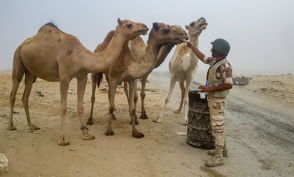 Photograph by Islam Metwally