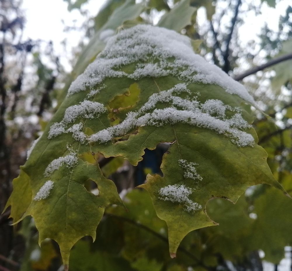 Photograph by Митя Стрельников